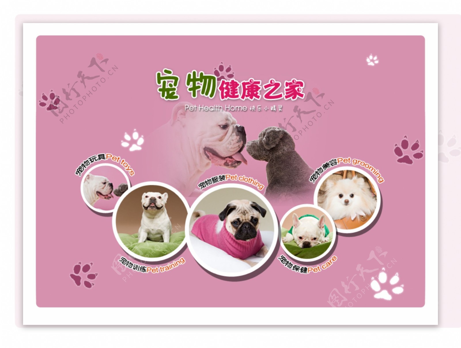 奥维云网：2025年宠物家电销量273万套同比大涨65%(图1)