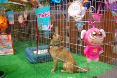 《2025年数字零售融资数据榜》：69起融资2135亿元 同比下降2364%(图1)