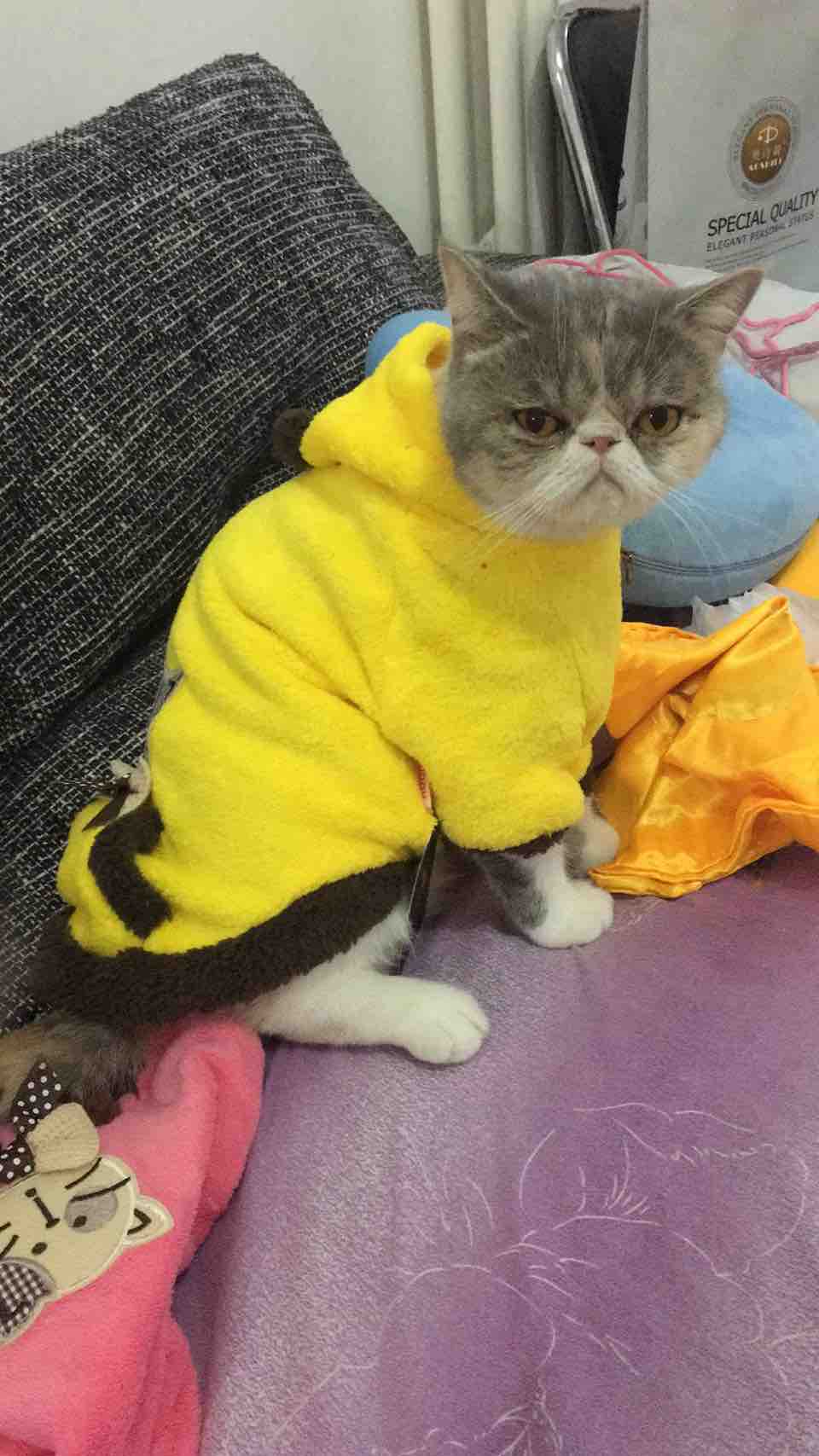 4月2日收盘报08美元股跌395%(图1)