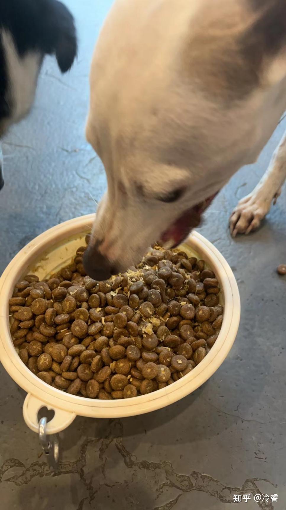 积极分子入党志愿书Word模板下载(图1)