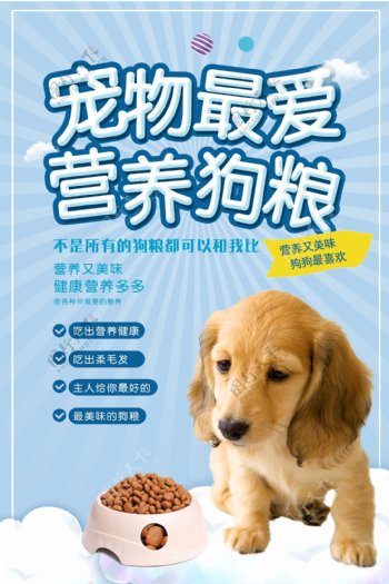 九游官网入口：春节视频素材_春节视频模板下载_熊猫办公(图1)