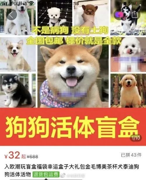 最高人民法院发布消费者权益保护典型案例(图1)