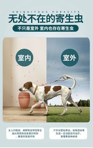 九游app：CIFF广州 人民日报：第57届广州家博会绘就“两业融合”新图景(图1)