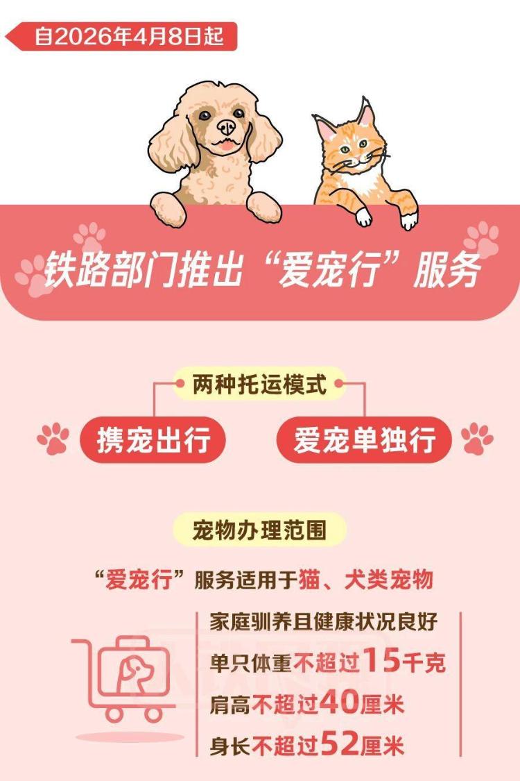 九游app：铁路宠物托运升级 它们可以独自“坐”高铁了(图2)