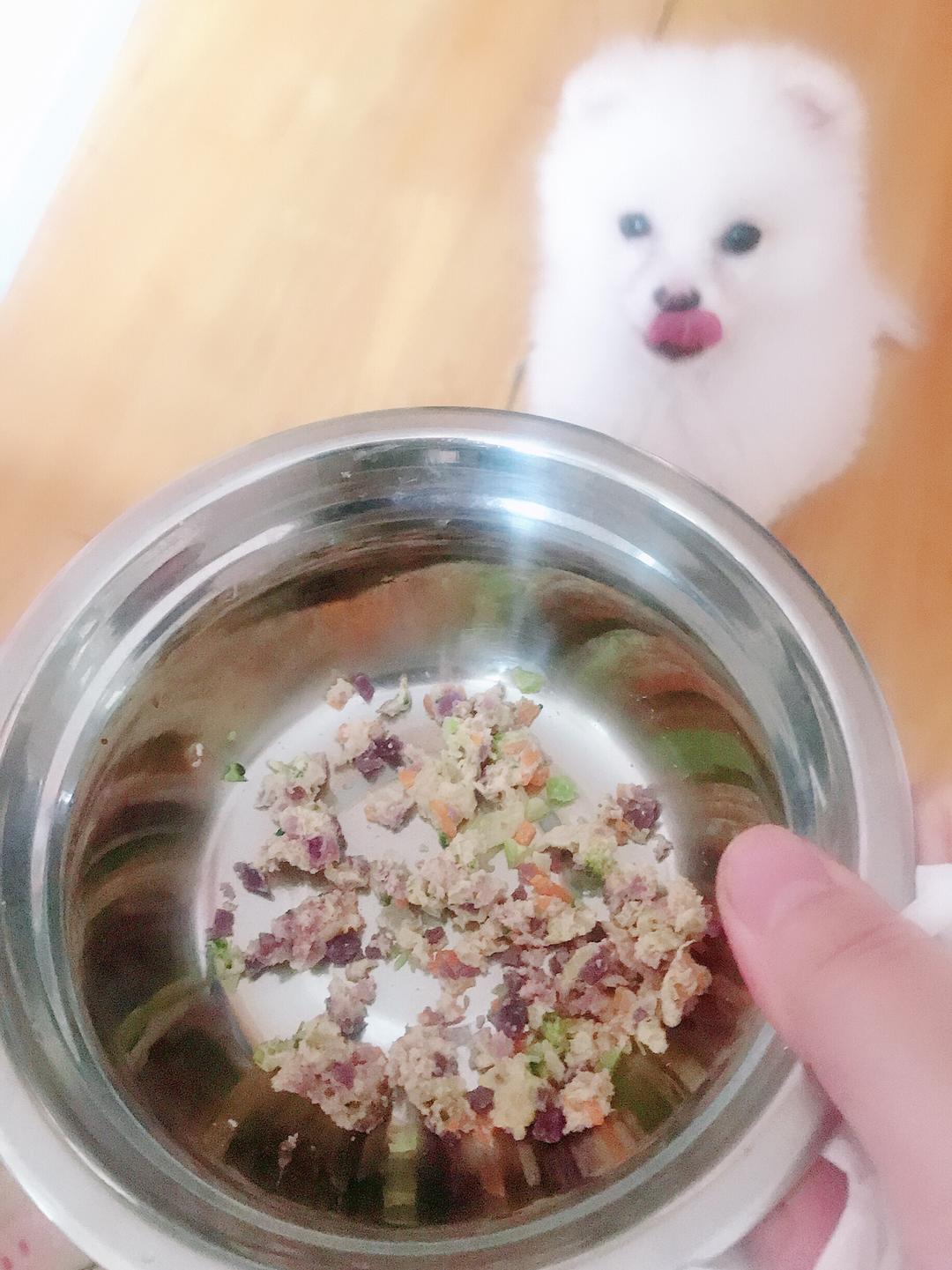 九游体育：在家怎么制作狗粮(图1)