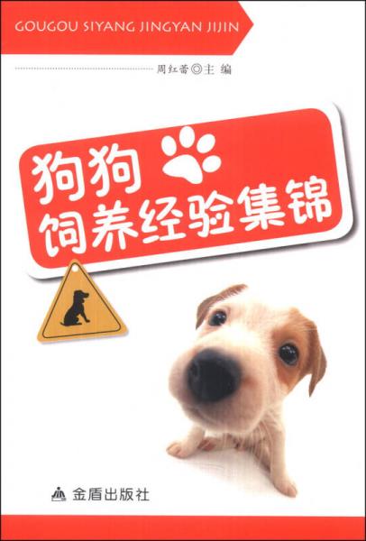 九游体育：2026杭州市养狗最新规定时间（早晚遛狗时间）(图1)