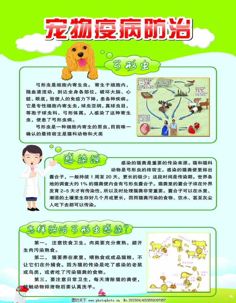 宠物训练的坑你踩过吗(图1)