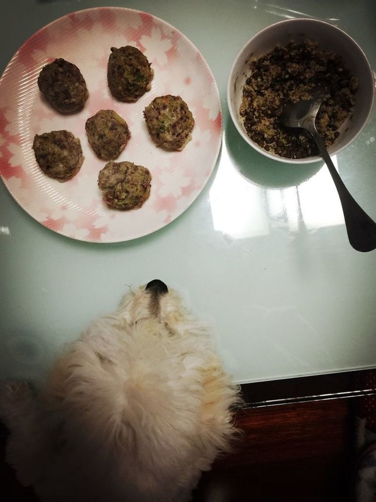 自制狗粮-买购APP(图1)