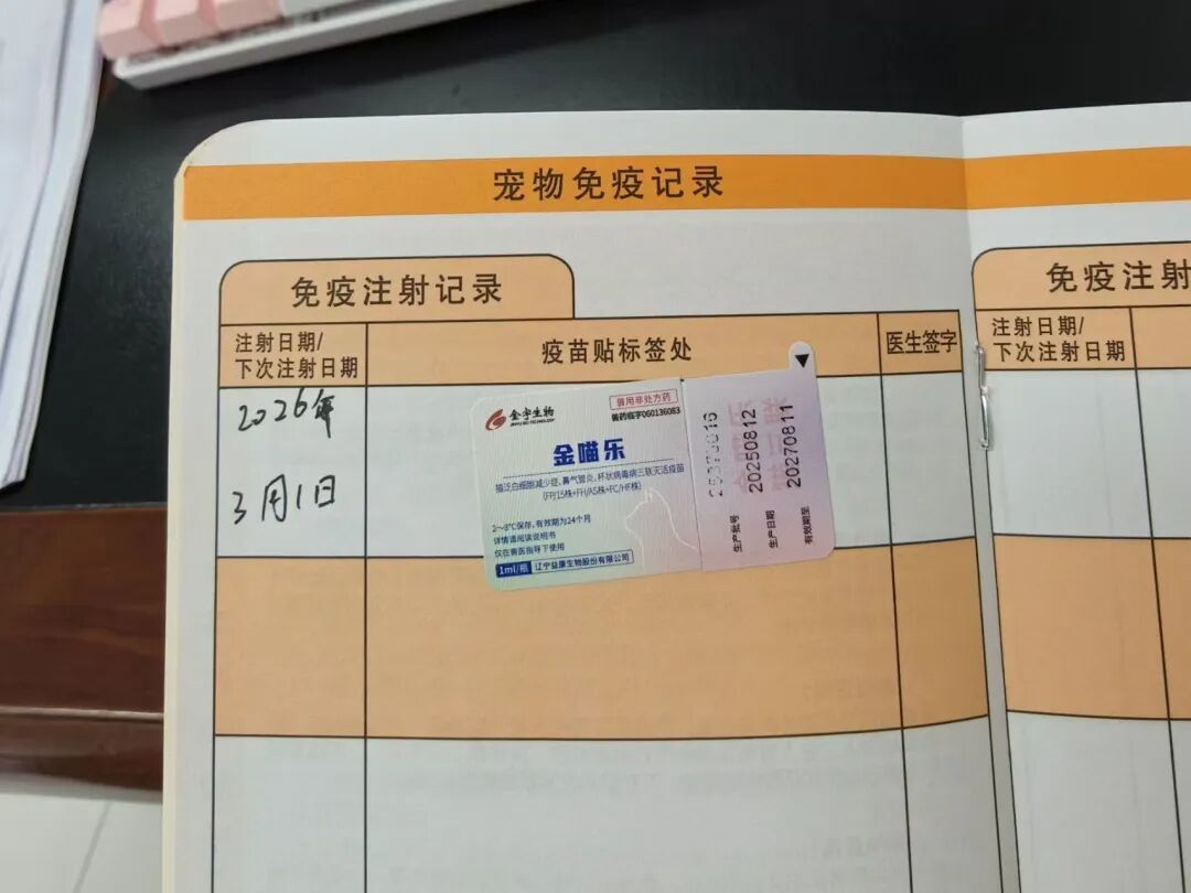 小猫买回家后拉肚子、呕吐 南昌消费者疑似买到“星期宠”陷维权难(图6)