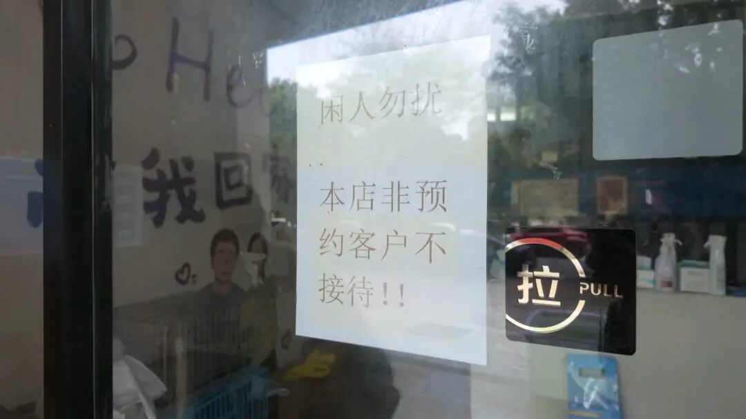 小猫买回家后拉肚子、呕吐 南昌消费者疑似买到“星期宠”陷维权难(图9)