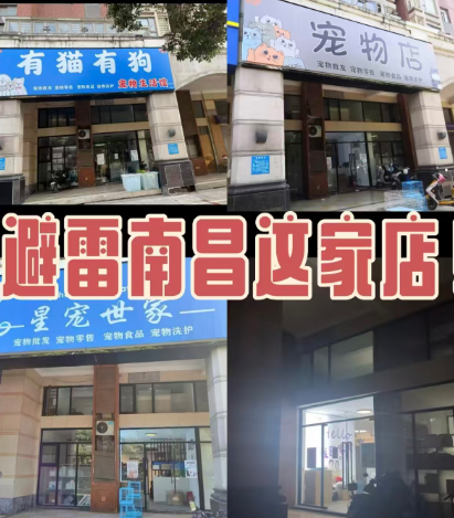 小猫买回家后拉肚子、呕吐 南昌消费者疑似买到“星期宠”陷维权难(图11)