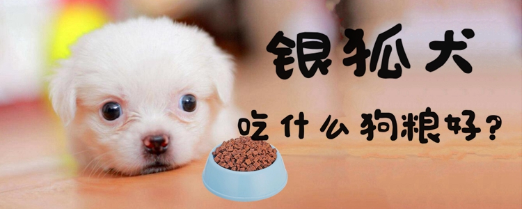 干狗粮怎么做手工自制狗粮的方法(图1)