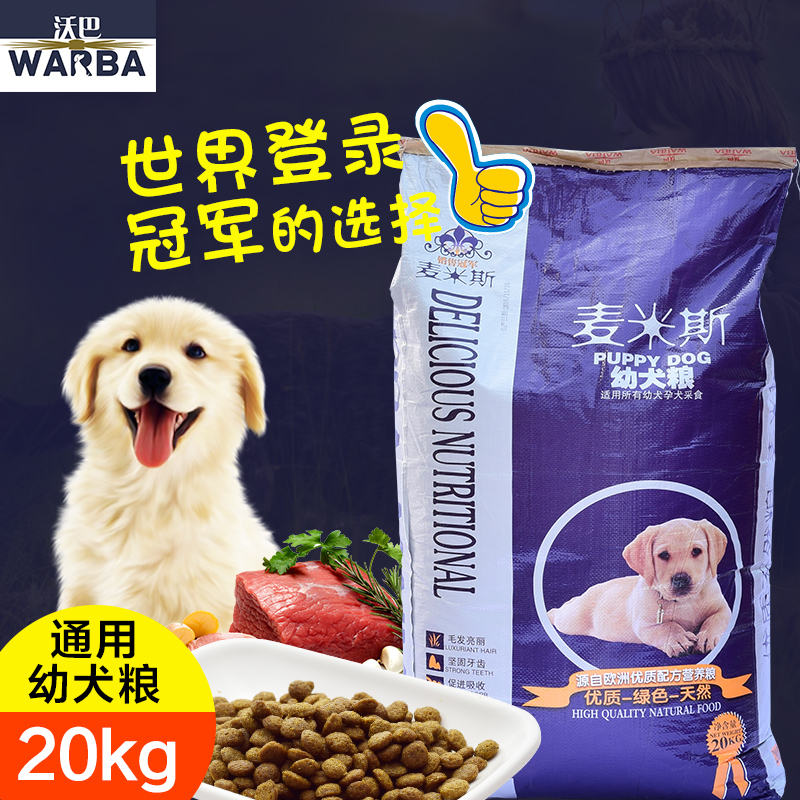 金毛喂养秘籍：两个多月的健康饮食分享与技巧(图1)