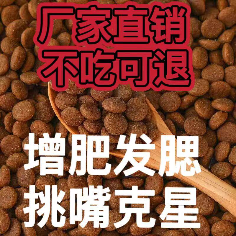 孩子骂家长怎么办(图1)