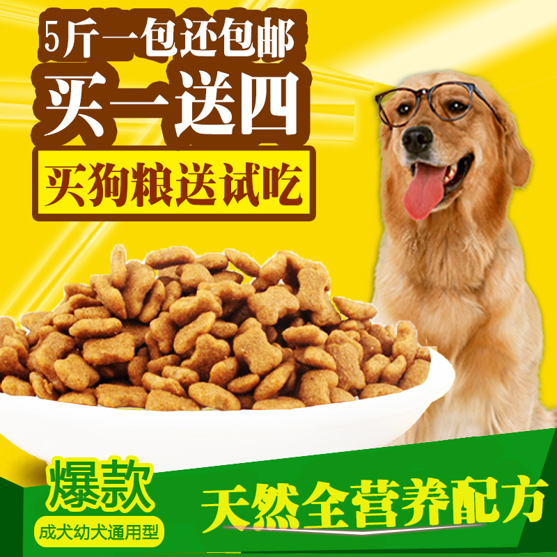 芬兰赫尔辛基国际狗狗展览会(KOIRAMESSUT)(图1)
