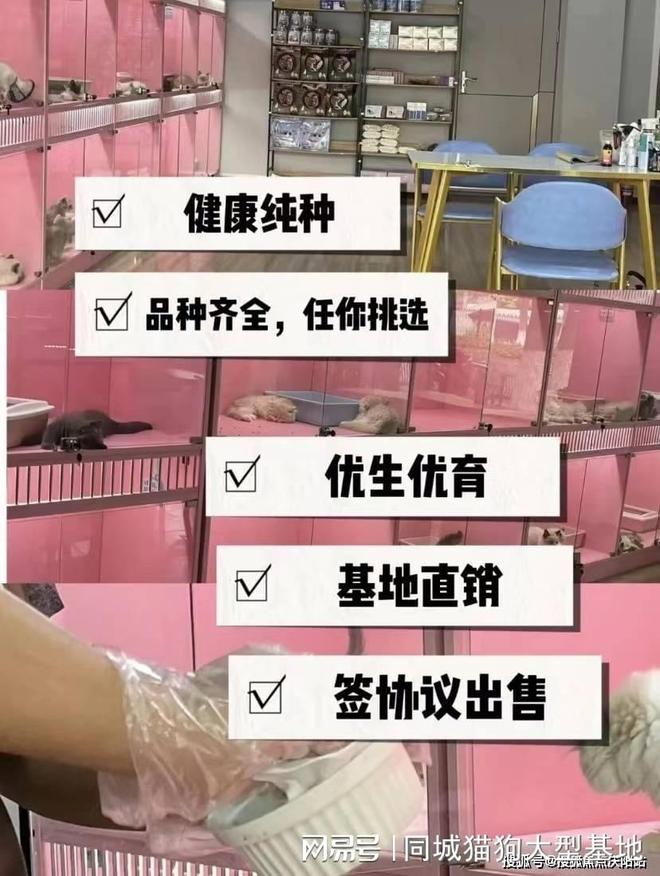 常州目前哪里有狗市猫市这家实体老店敢质保每只宠物都包健康。(图4)