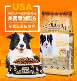吃狗食、关禁闭央视前才女国外被虐成“人干”？董卿想救她都难(图1)