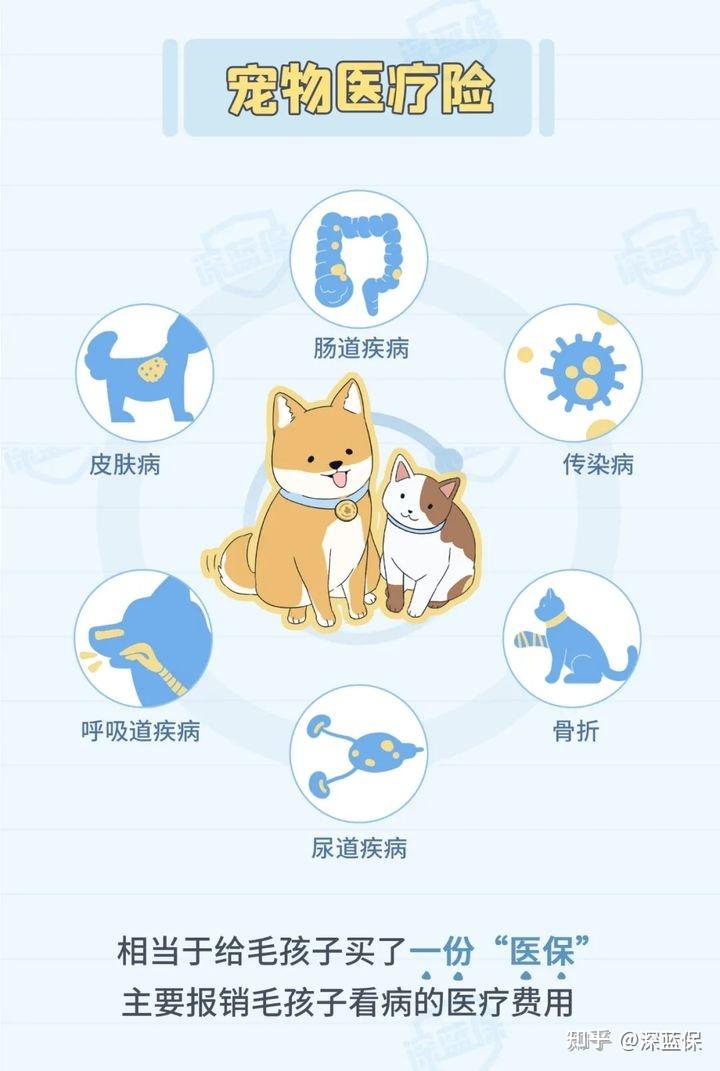 宠物经济破三千亿中国平安升级“萌宠服务”综合金融方案(图1)