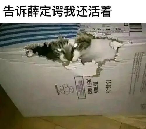 最反常618：商家们开始逃离低价！(图7)