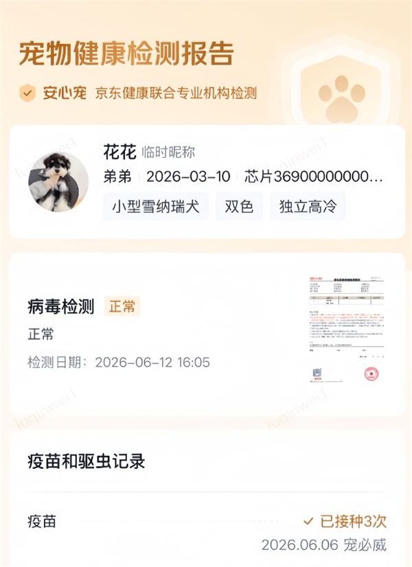 京东“安心宠”重新定义宠物犬猫交易：宠医上门检测、专车专人配送、365天保险兜底(图2)