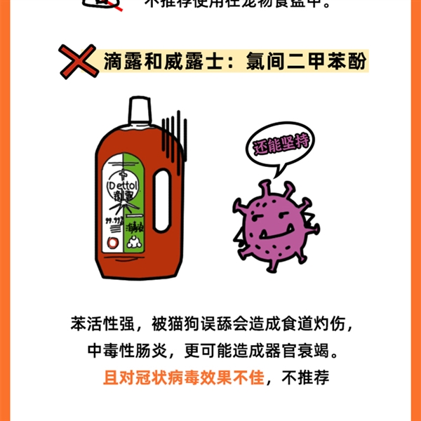 京东宠物发布健康防护指南做好6件事让你家宠物远离疾病困扰(图4)