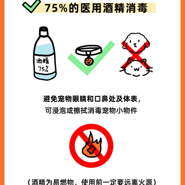 京东宠物发布健康防护指南做好6件事让你家宠物远离疾病困扰(图3)