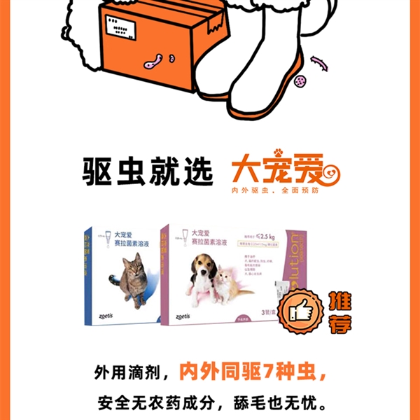京东宠物发布健康防护指南做好6件事让你家宠物远离疾病困扰(图5)