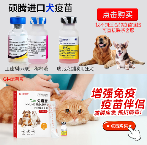 京东宠物发布健康防护指南做好6件事让你家宠物远离疾病困扰(图6)