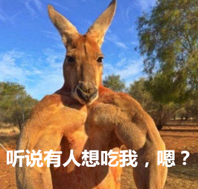 黄博宁：澳大利亚卖力推销袋鼠肉中国吃货为什么不动心(图1)