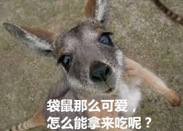 黄博宁：澳大利亚卖力推销袋鼠肉中国吃货为什么不动心(图5)