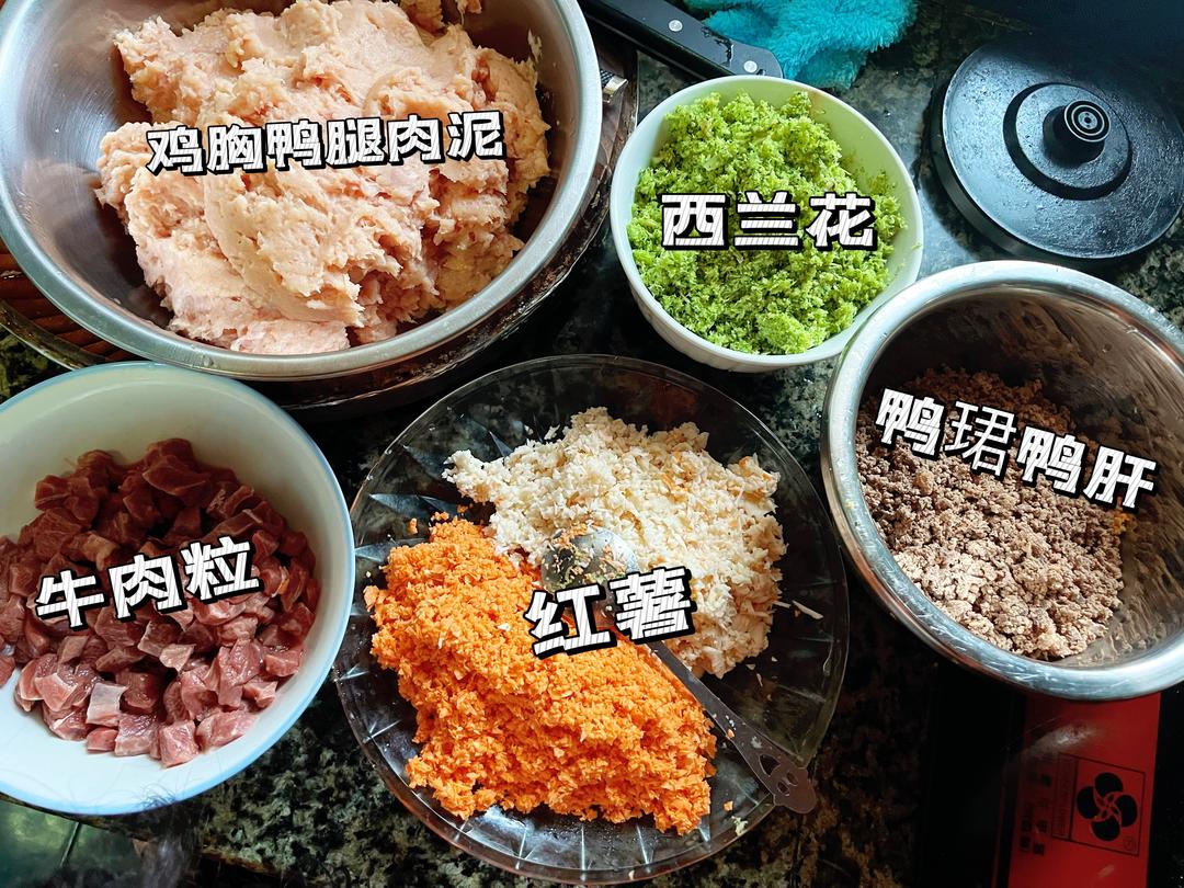 九游体育：科学自制狗食：营养均衡搭配全指南(图1)