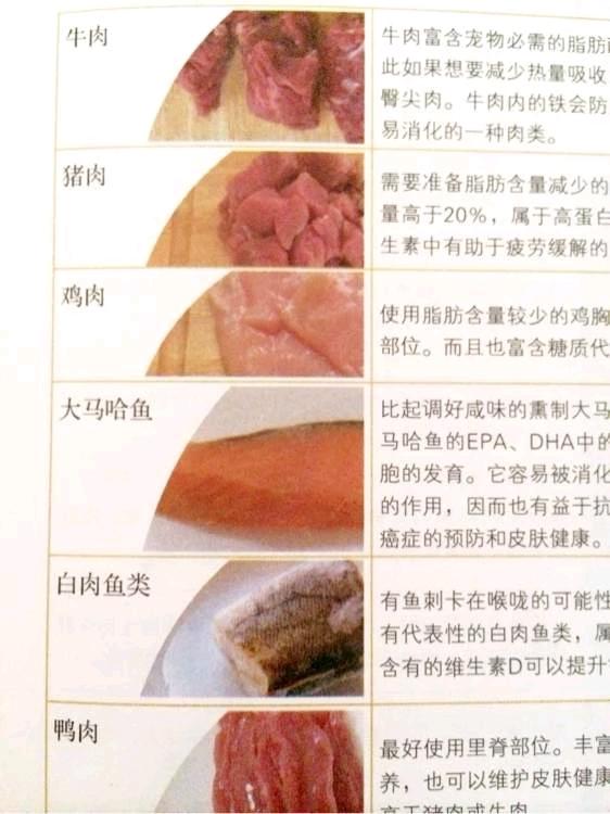 九游app：哪种自制狗粮的32种方法(图1)