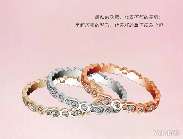 玫瑰绽放你偏爱哪种？(图3)