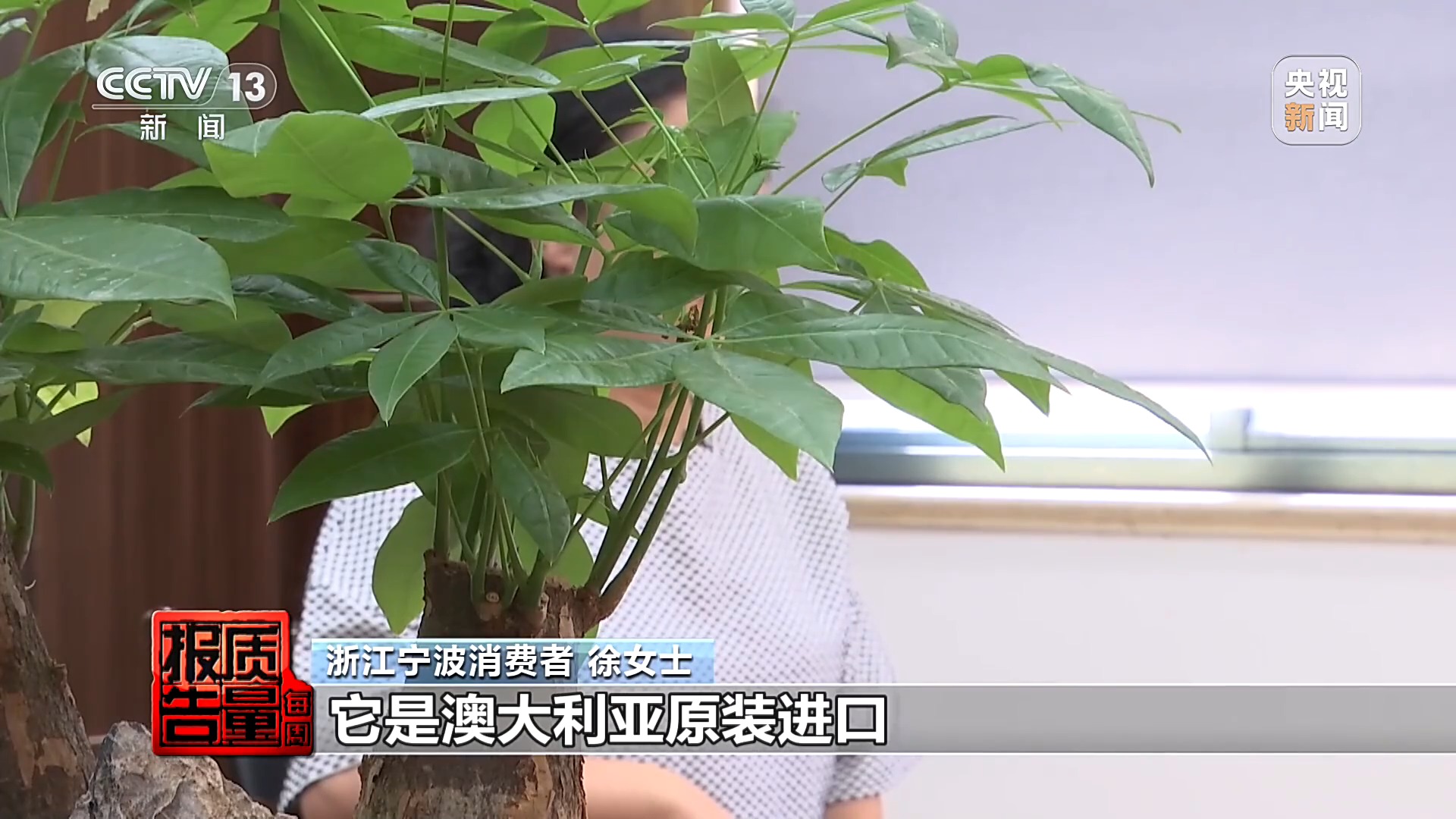 九游官网入口：国产食品穿“洋马甲”高价收割起底“假洋牌”产业链(图1)