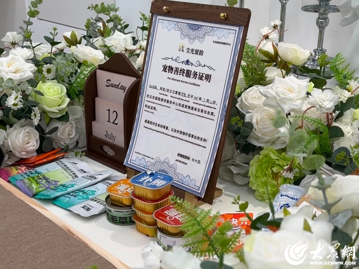 九游官网入口：让宠物体面“告别”他在聊城开了一家宠物殡葬店_今日要闻_聊城大众网(图1)