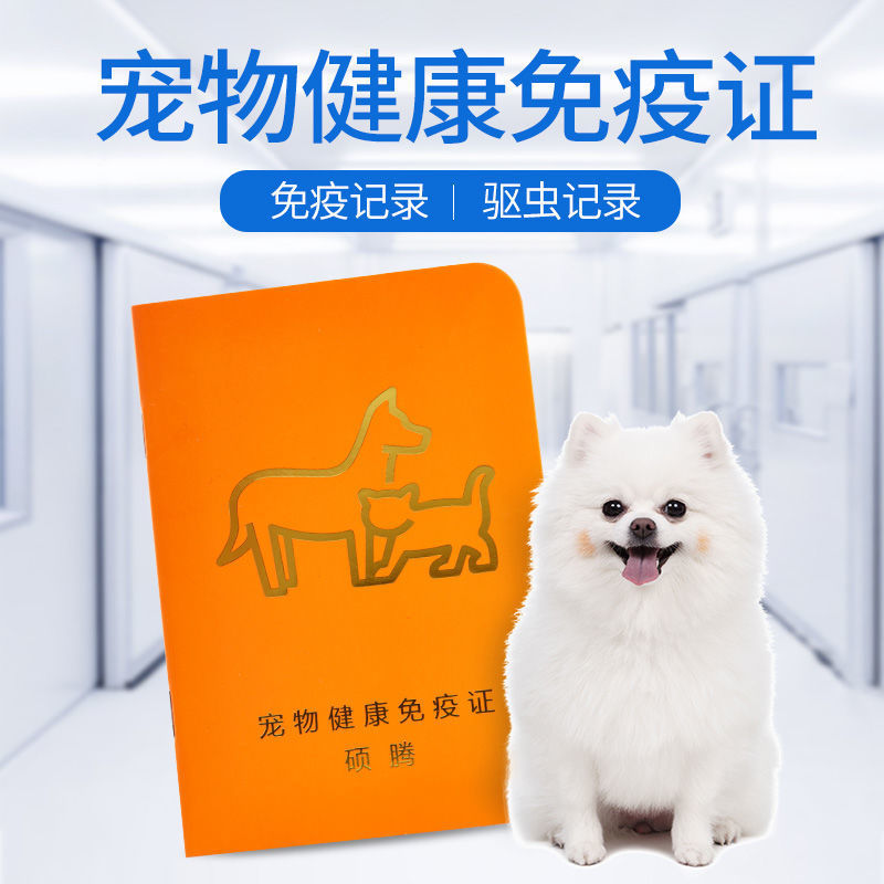 邢台南和区：宠物粮上新“营养餐”(图1)