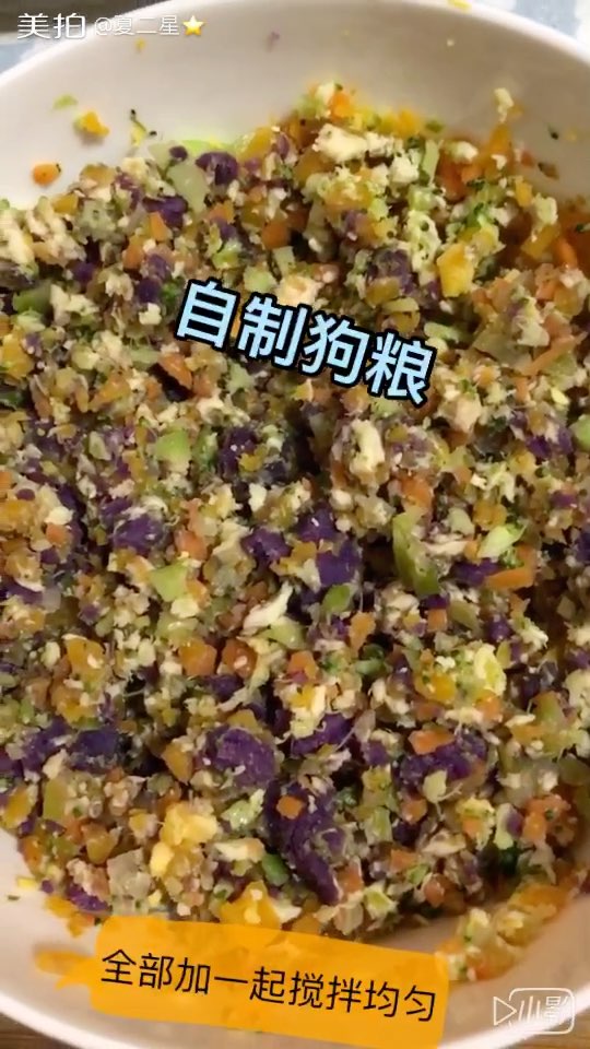 训犬比赛开锣！职业训犬师教你如何让狗狗听话(图1)