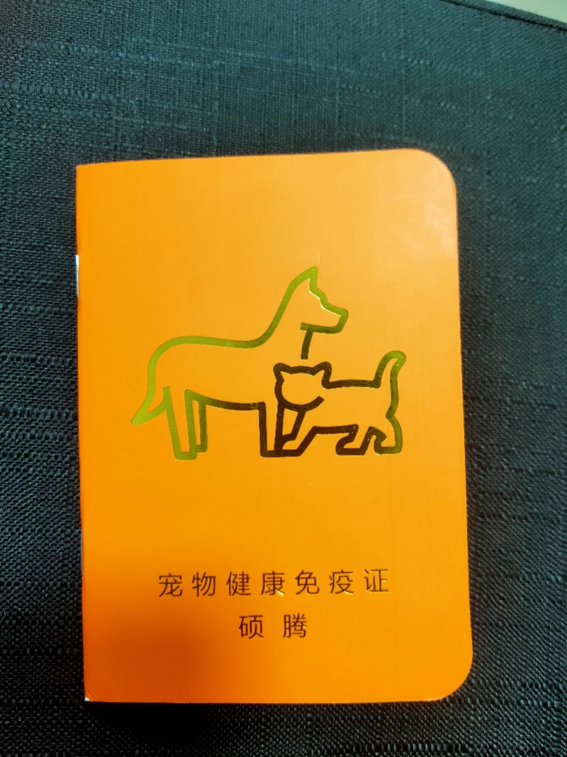 九游app：宠物健康证明怎么办理(图1)