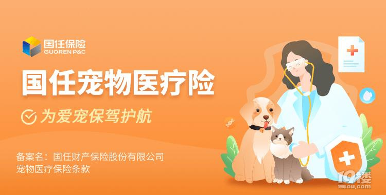 从法规角度谈宠物健康的保障措施(图1)