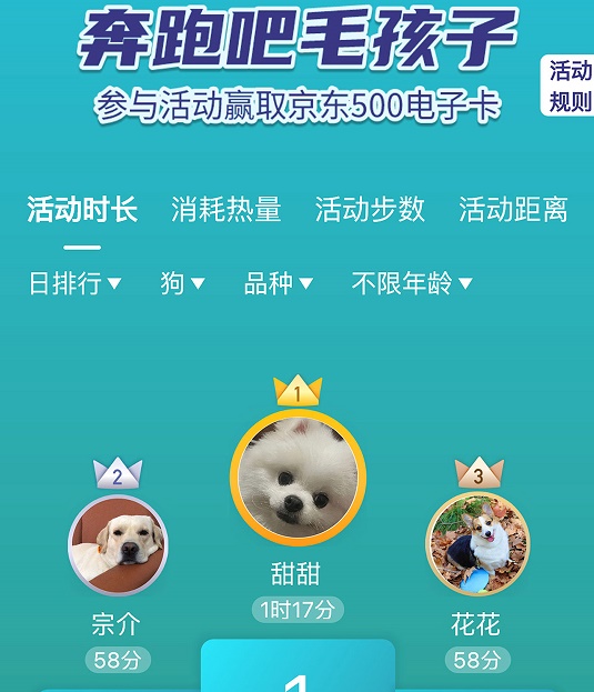 安徽好牛软件有限公司的个人主页(图1)