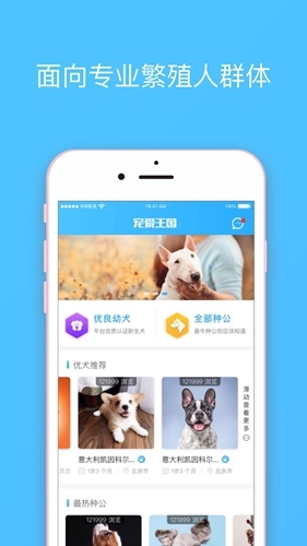 九游app：成都嗨创科技宠物行业软件应用方案：一家宠物连锁的数字化升级实践(图1)