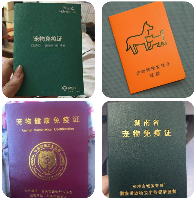 九游官网入口：鸟类最新资讯-快科技--科技改变未来(图1)