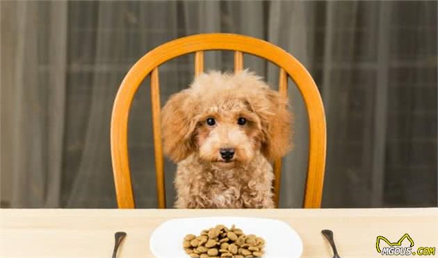 判别你给狗狗的犬粮是否优质你需要注意成分表里的这五种物质(图5)