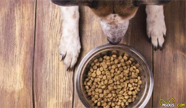 判别你给狗狗的犬粮是否优质你需要注意成分表里的这五种物质(图1)