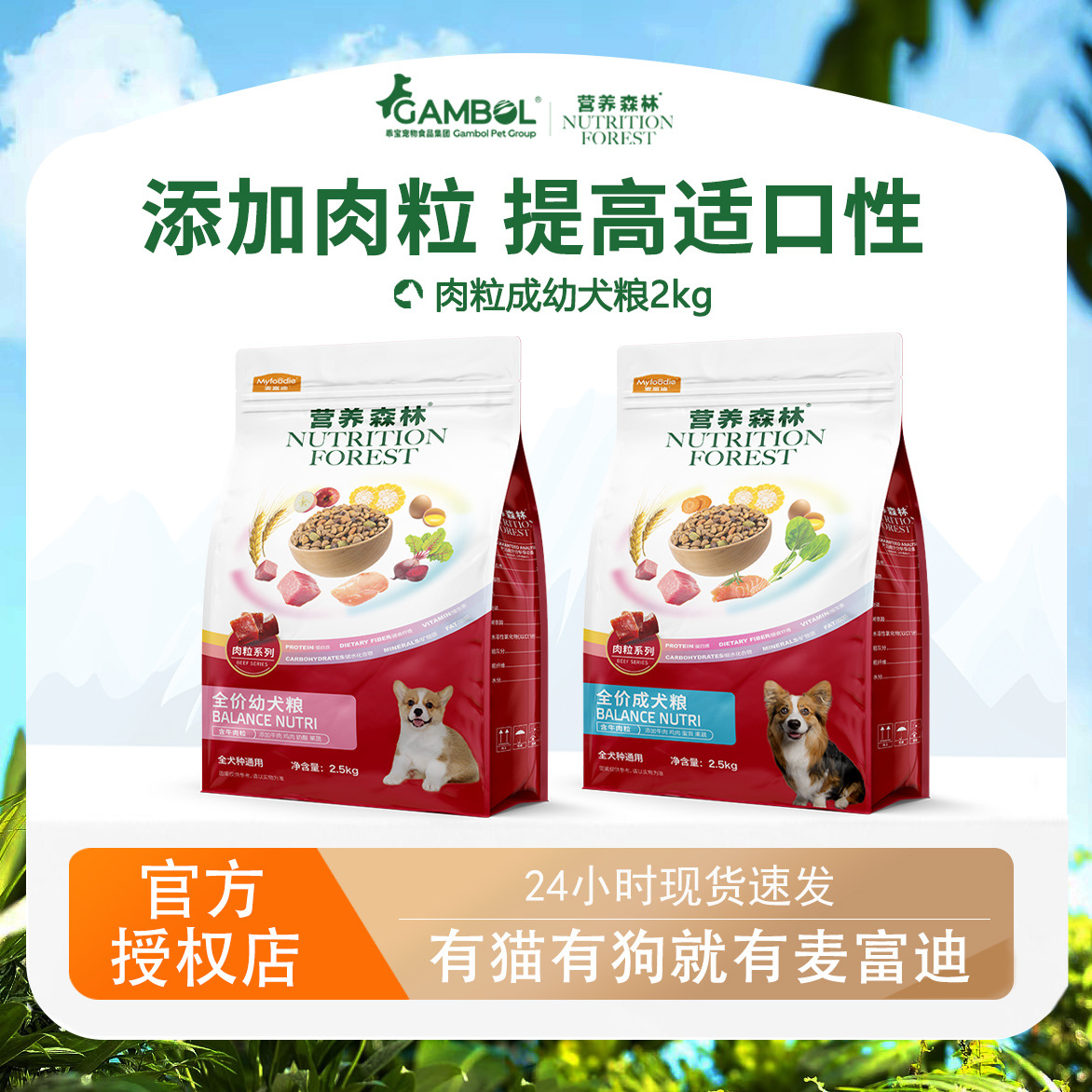 洪雅瓦屋山国家森林公园(图1)