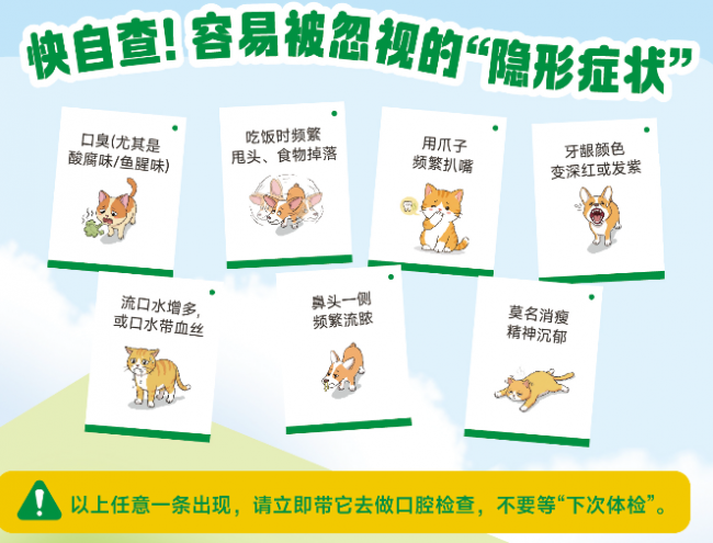 没有牙结石≠宠物口腔健康：破解认知误区多美洁洁齿水提供居家护理方案(图1)