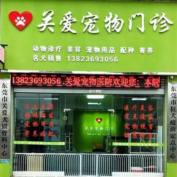 九游app：2026年合肥市大型宠物转诊中心招聘5人公告(图1)