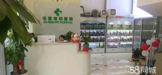 宠物医院你的宠物健康守护神！(图1)