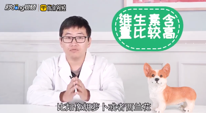 自制狗粮怎么做？自制狗粮的做法介绍？(图3)